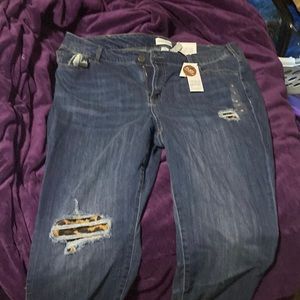NWT stretch denim with peek a boo leopard size 22. Lane bryant